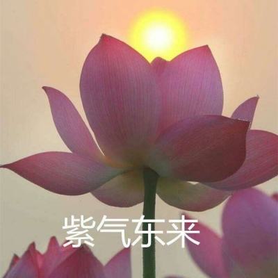 天涯情缘最新版